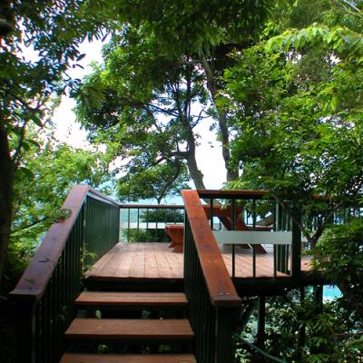 Forest 07